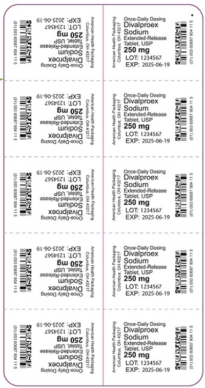 250 mg Divalproex Sodium Er Tablet Blister.jpg (250 mg Divalproex Sodium Er Tablet Blister)